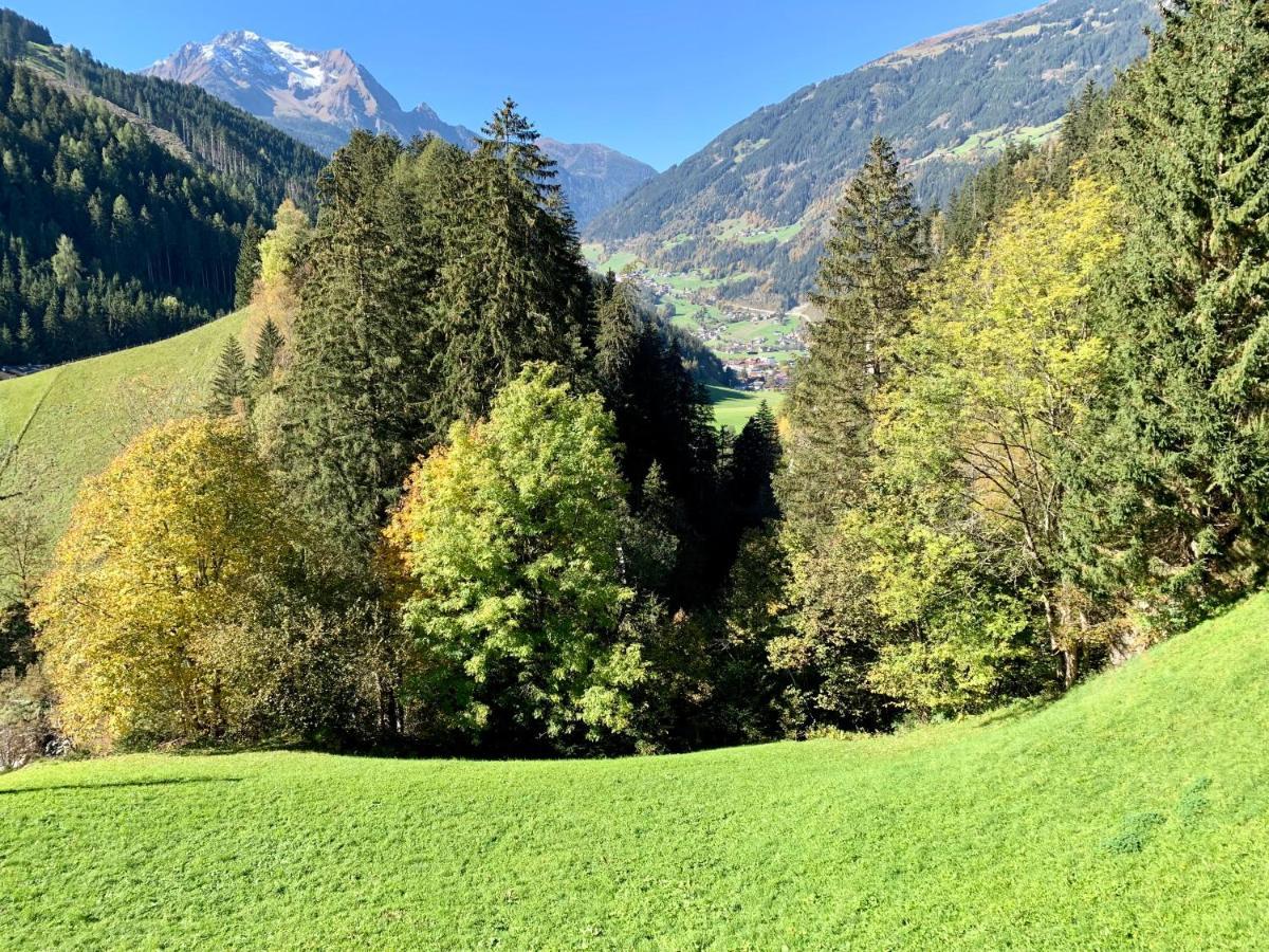 Natur Zeit - Alpine Garden Apartments Mayrhofen Dış mekan fotoğraf