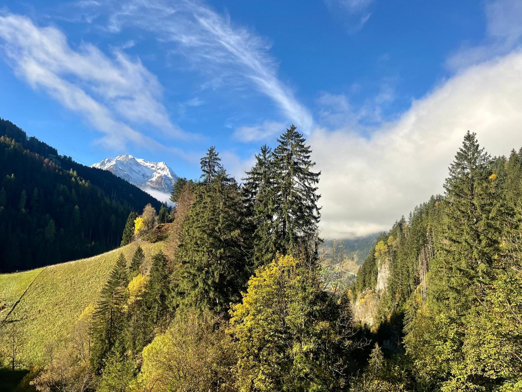Natur Zeit - Alpine Garden Apartments Mayrhofen Dış mekan fotoğraf